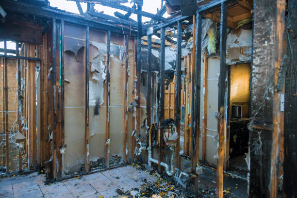 Professional Smoke Damage Removal technician working in Odessa, FL