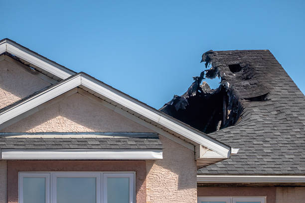 Top rated local Smoke Damage Removal specialists in Odessa, FL